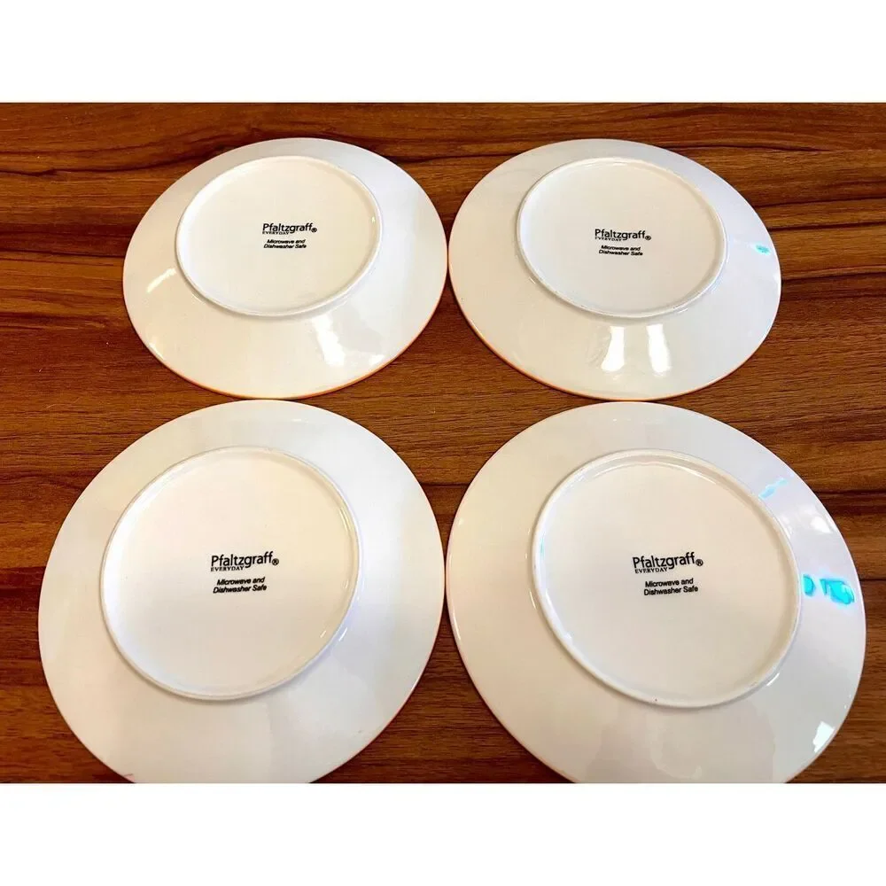 Set of 4 Pfaltzgraff 6